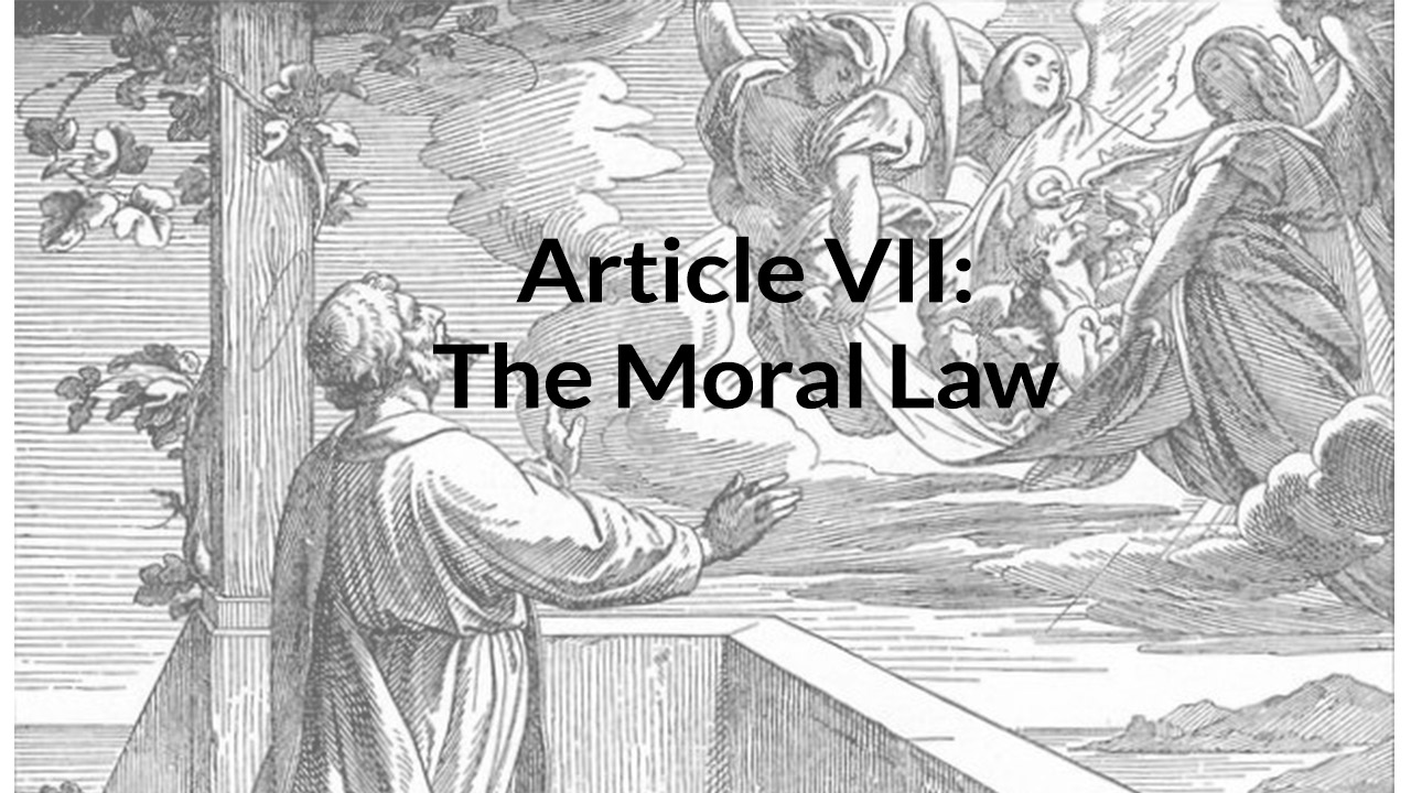 Article 7: The Moral Law