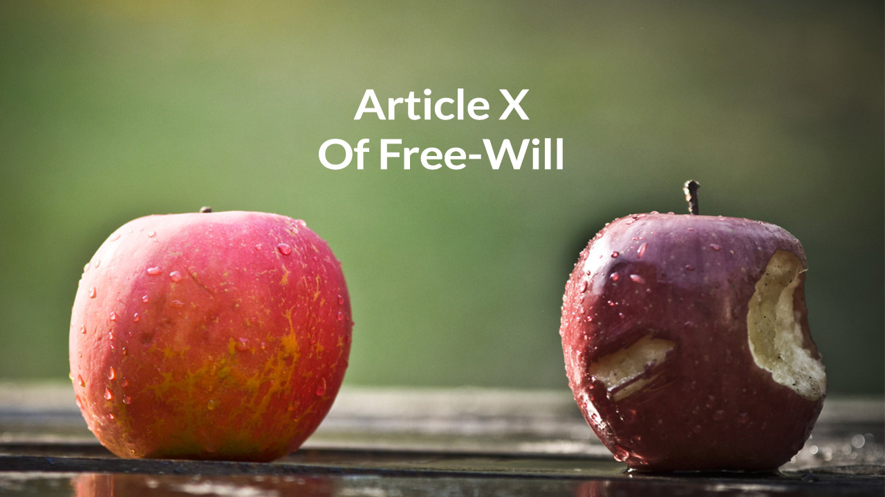 Article 10: Of Free-Will