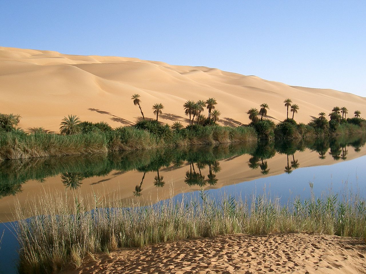 The River in the Desert