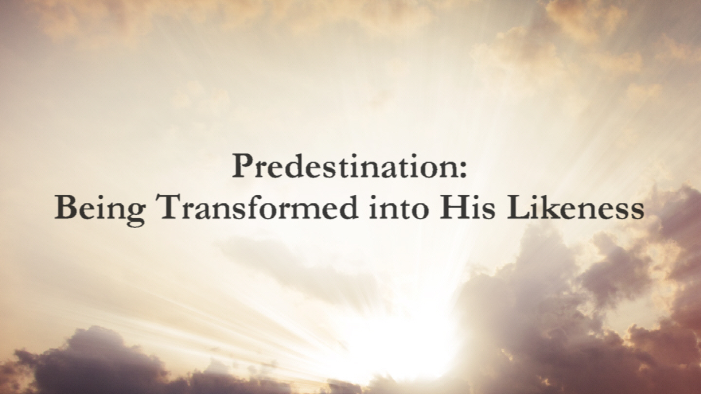 Article 17: Predestination (Part 3)