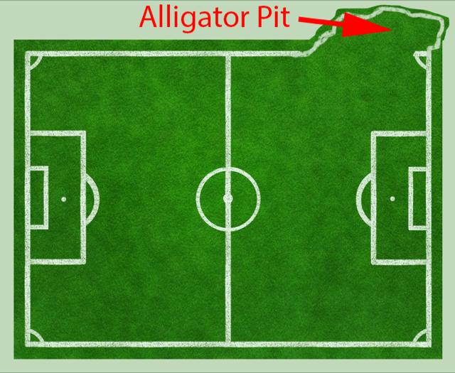 alligator-pit