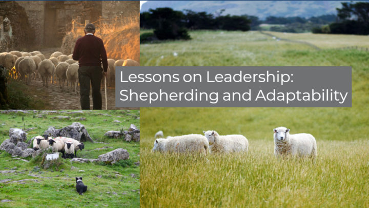 Lessons on Leadership:  Shepherding and Adaptability