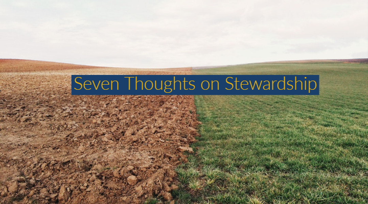 Seven Thoughts on Stewardship