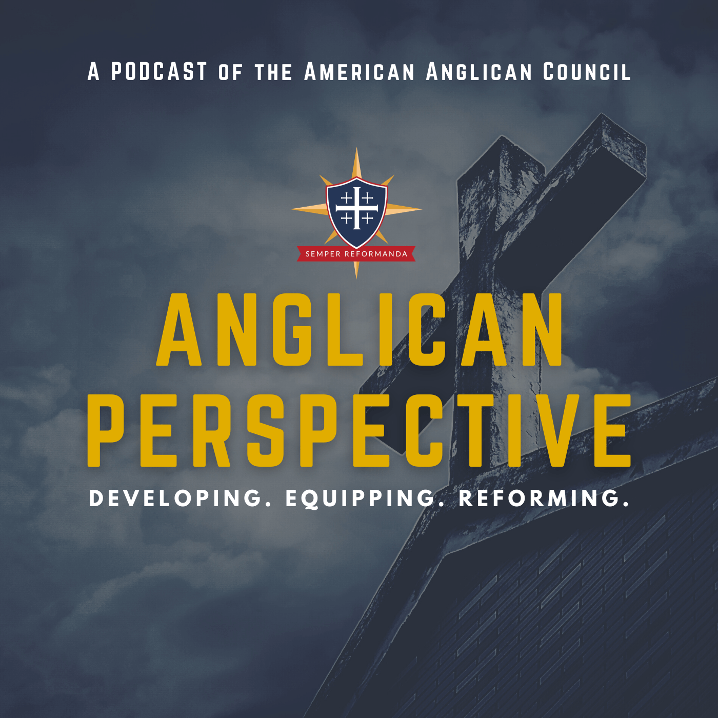 The New Anglican Perspective Podcast