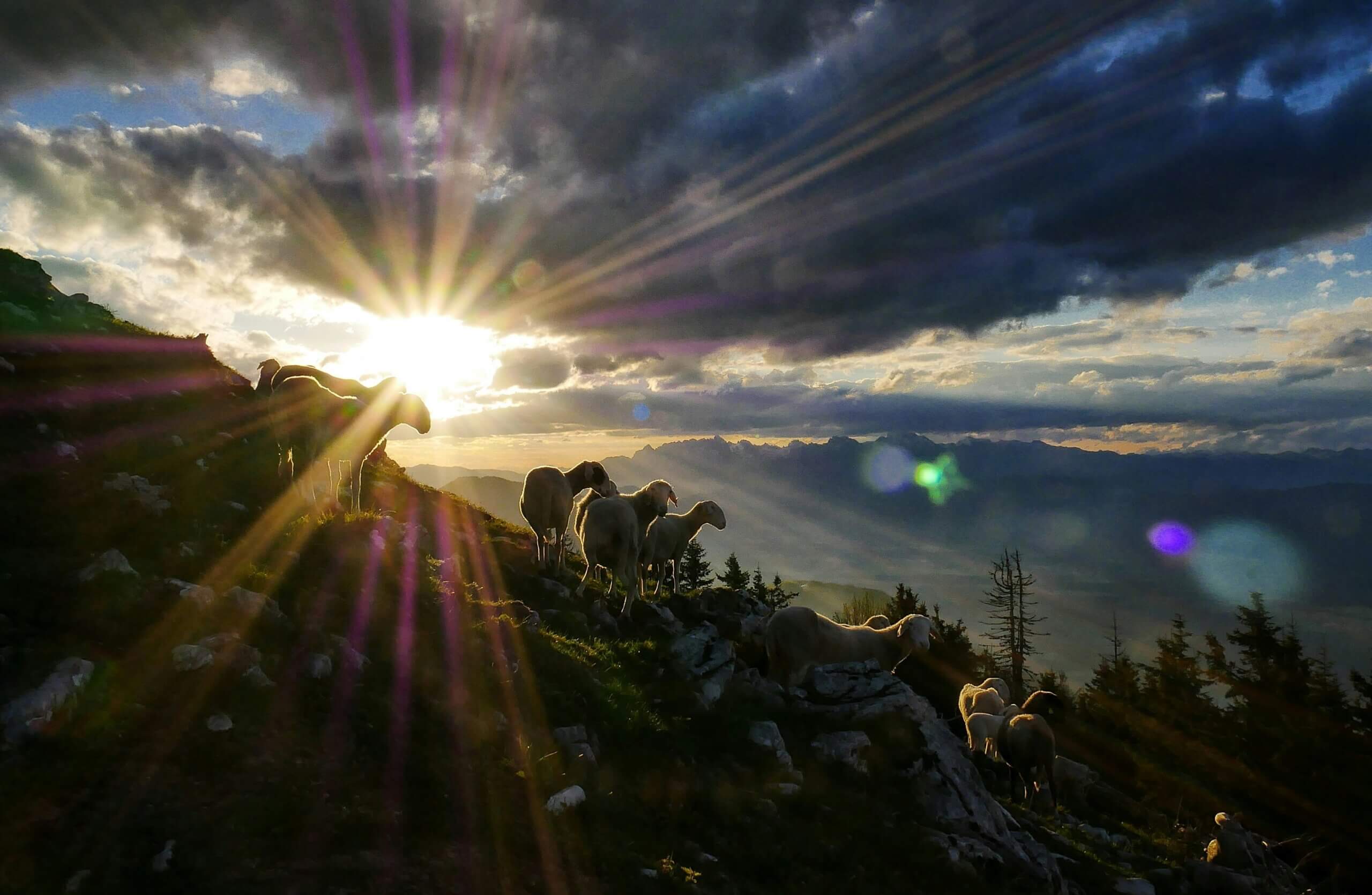 Discerning the Voice of God